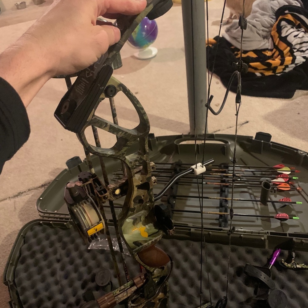 Psc excursion great bow - Picture 5 of 5